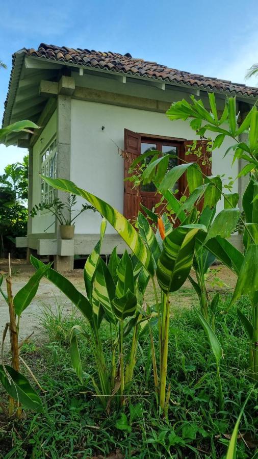 Colive Ahangama Exterior foto